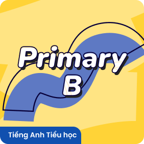 Primary B