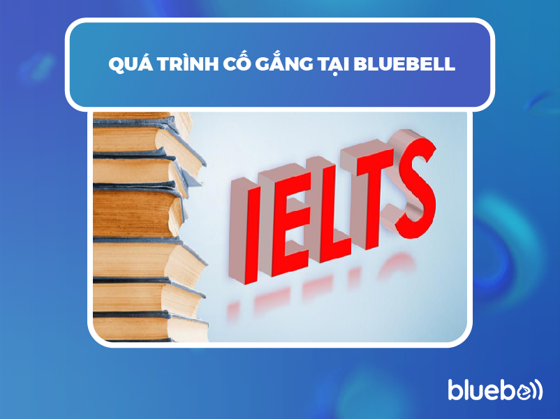 Quá trình cố gắng tại Bluebell
