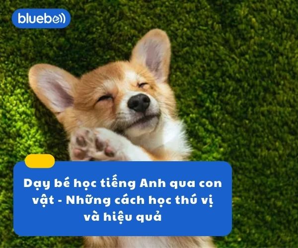 Dạy trẻ học tiếng Anh qua con vật – Những cách học thú vị và hiệu quả
