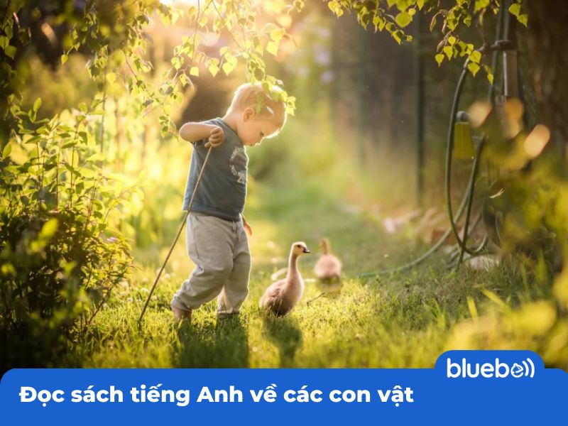 Đọc sách tiếng Anh về các con vật