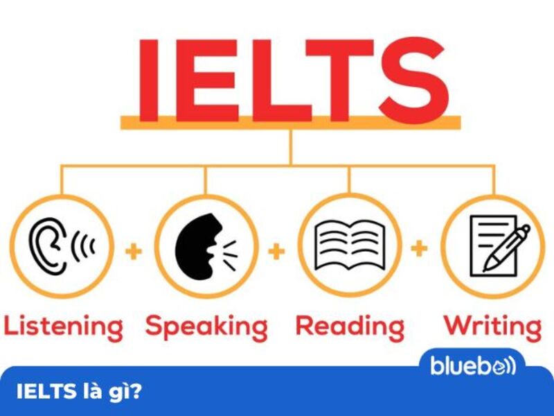 IELTS là gì? IELTS là gì?