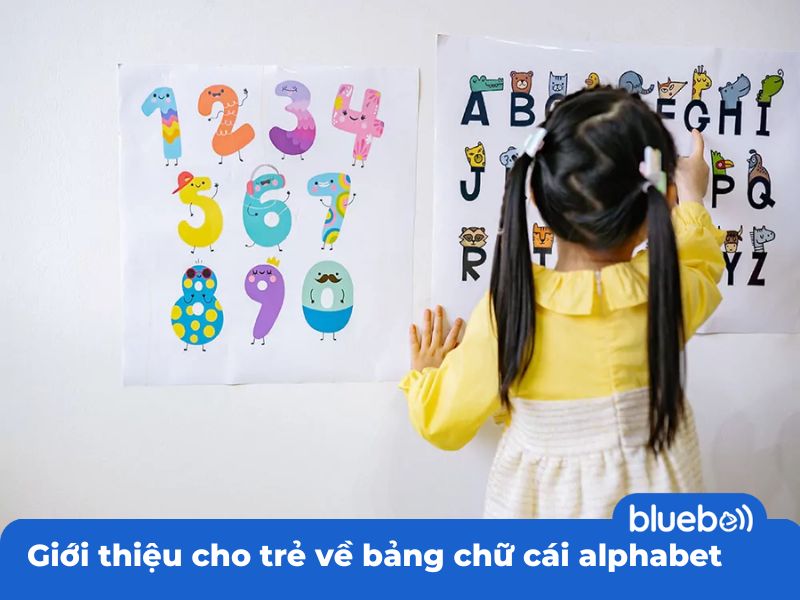 Giới thiệu cho trẻ về bảng chữ cái alphabet