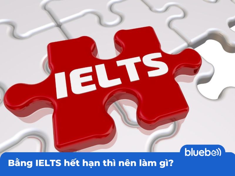 Bằng IELTS hết hạn thì nên làm gì?