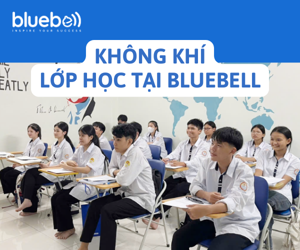 BLUEBELL – NƠI KIẾN THỨC ĐƯỢC CHIA SẺ, NIỀM TIN ĐƯỢC GIEO MẦM